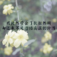 意境文字头像:越是没有人爱:就越要爱自己_WWW.TQQA.COM