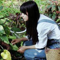 QQ唯美清新女生头像:承载一颗心_WWW.TQQA.COM