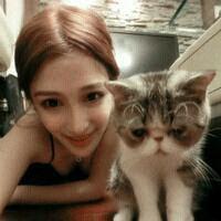 抱着猫咪的QQ女生头像:不会把爱当游戏_WWW.TQQA.COM