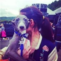 抱着猫咪的QQ女生头像:不会把爱当游戏_WWW.TQQA.COM