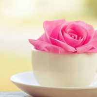 QQ空间静态唯美花头像:花海的世界_WWW.TQQA.COM
