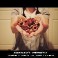 带字英文唯美女生头像:忘了他继续生活_WWW.TQQA.COM