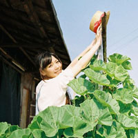 茫茫人海与你相遇:森系甜美qq头像:爱让彼此重生_WWW.TQQA.COM