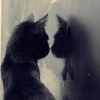 抱着猫咪的QQ女生头像:不会把爱当游戏_WWW.TQQA.COM