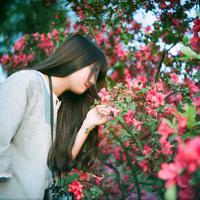 唯美拿白色花的女生头像:朦胧的意境_WWW.TQQA.COM