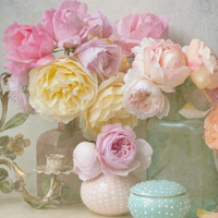 花的世界:唯美静态高清非人物头像:还你一个小清_WWW.TQQA.COM