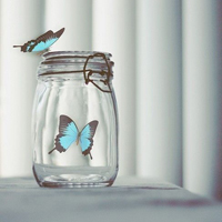 qq静态头像唯美小清新:QQ空间收藏必备精品头像大_WWW.TQQA.COM