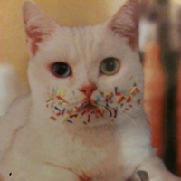 可爱猫猫qq头像:家里有只卖萌猫猫_WWW.TQQA.COM