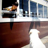 唯美意境清纯女生头像:敢不敢再爱我一次_WWW.TQQA.COM