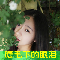 qq森系带字头像:物是人非沧海桑田_WWW.TQQA.COM