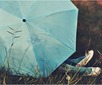 蓝色唯美静物体QQ头像_WWW.TQQA.COM