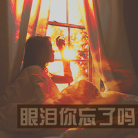 唯美文字女头像:依然学不会浪漫。_WWW.TQQA.COM