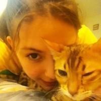 抱着猫咪的QQ女生头像:不会把爱当游戏_WWW.TQQA.COM