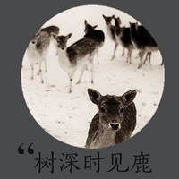 意境文字头像:越是没有人爱:就越要爱自己_WWW.TQQA.COM