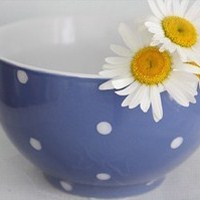 静物花唯美qq头像:爱擦身而过_WWW.TQQA.COM