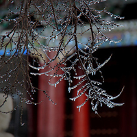 意境静物头像大全:外拍自然风景摄影QQ群头像_WWW.TQQA.COM