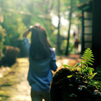 给你我所有的光和热_WWW.TQQA.COM