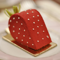 qq静态头像唯美小清新:QQ空间收藏必备精品头像大_WWW.TQQA.COM