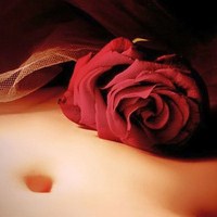 静物花唯美qq头像:爱擦身而过_WWW.TQQA.COM