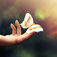 qq静态头像唯美小清新:QQ空间收藏必备精品头像大_WWW.TQQA.COM