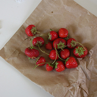 qq静态头像唯美小清新:QQ空间收藏必备精品头像大_WWW.TQQA.COM