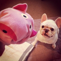 萌翻了的头像:可爱小孩萌图QQ头像_WWW.TQQA.COM