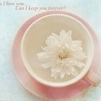 唯美自然清晰卡通静物系QQ头像_WWW.TQQA.COM