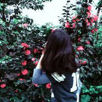 森系带花女生头像:赠人玫瑰:手有余香_WWW.TQQA.COM