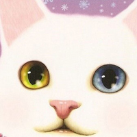 猫猫也需要深邃的安慰:韩国萌猫咪:卡通萌猫qq头_WWW.TQQA.COM