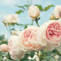 你给的爱不公平:森系意境超美女生头像:静静的躺_WWW.TQQA.COM