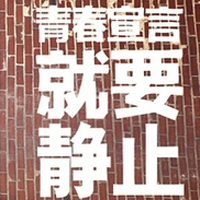 只有文字的文字控QQ头像:青春就要拽_WWW.TQQA.COM