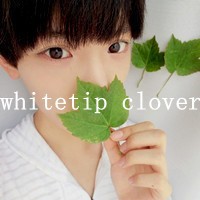 我们的世界没有他们说的第三者_WWW.TQQA.COM