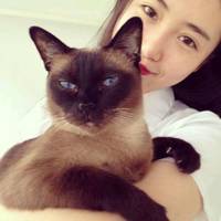 抱着猫咪的女生头像:可爱妹子万人疼_WWW.TQQA.COM