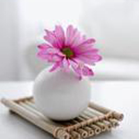 QQ空间静态唯美花头像:花海的世界_WWW.TQQA.COM