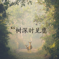 意境文字头像:越是没有人爱:就越要爱自己_WWW.TQQA.COM