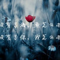 自己写的个性带字头像:混搭系列_WWW.TQQA.COM