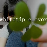 我们的世界没有他们说的第三者_WWW.TQQA.COM