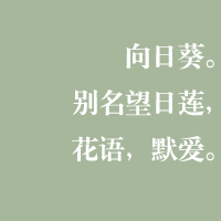 深深深爱过:好看的纯文字头像:原谅你带走的永远_WWW.TQQA.COM