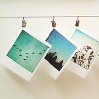 qq静物头像:静物头像图片毫无保留爱你不后悔_WWW.TQQA.COM