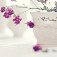 唯美自然清晰卡通静物系QQ头像_WWW.TQQA.COM