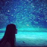 全身照QQ头像图片:远景唯美女生_WWW.TQQA.COM