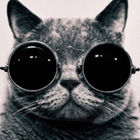可爱猫猫qq头像:家里有只卖萌猫猫_WWW.TQQA.COM