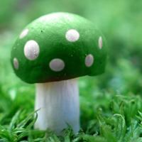 非人物:QQ空间唯美静物头像:蘑菇头像图片_WWW.TQQA.COM