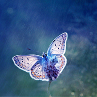 幸福的人是你:唯美清新静态头像:我是你的小太阳_WWW.TQQA.COM