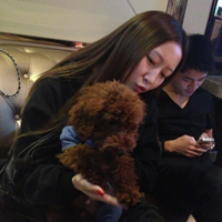 情侣一图双人头像:尽全力爱到底_WWW.TQQA.COM