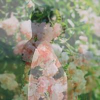手里拿袋鱼的头像:蓝色背景唯美小清新_WWW.TQQA.COM
