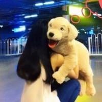 抱狗狗的情侣头像:爱在一起相依为命_WWW.TQQA.COM
