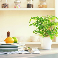 qq静态头像唯美小清新:QQ空间收藏必备精品头像大_WWW.TQQA.COM