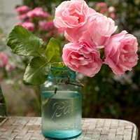 花的世界:唯美静态高清非人物头像:还你一个小清_WWW.TQQA.COM