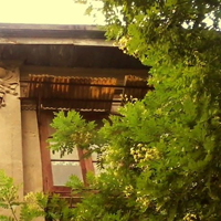 意境静物头像大全:外拍自然风景摄影QQ群头像_WWW.TQQA.COM